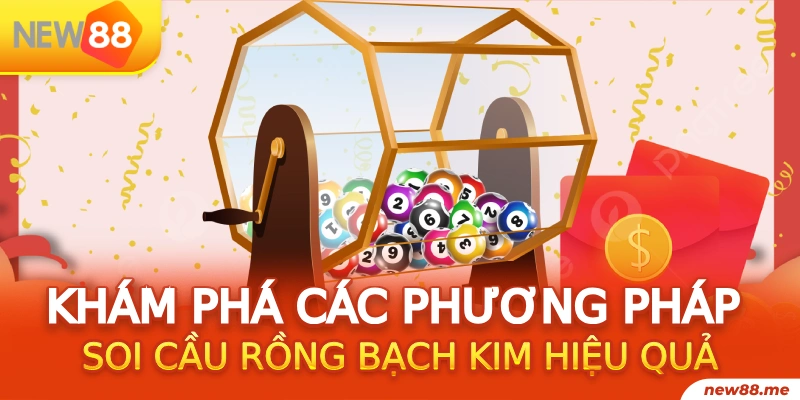 vina24h gà chọi