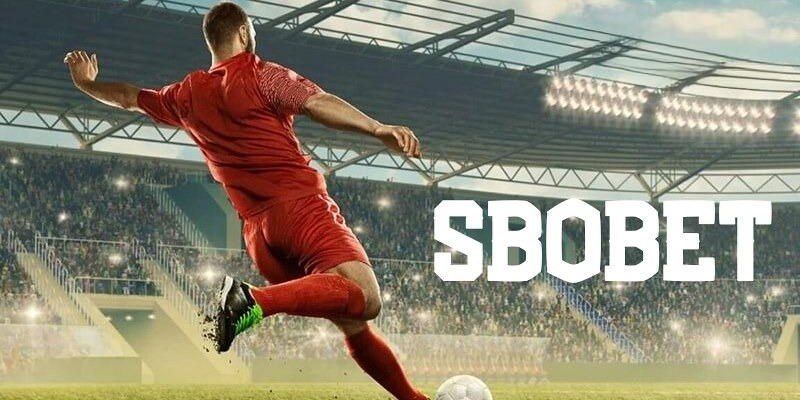 vina24h what is the best online casino for real money