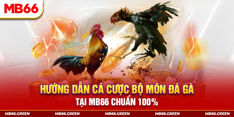 vina24h slot là gi