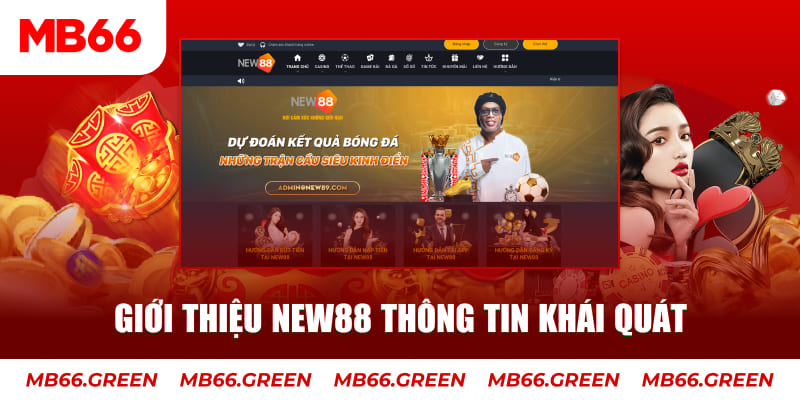 vina24h Tung Đồng Xu