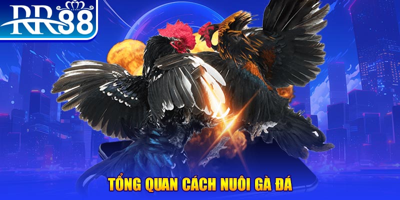 vina24h game nổ hũ rút tiền mặt là gì