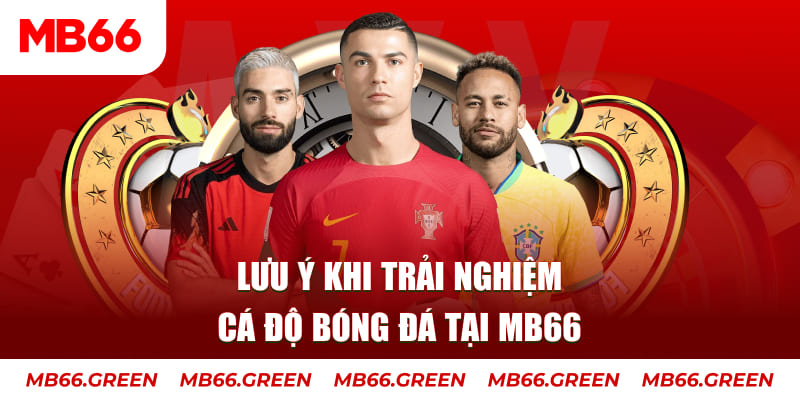 vina24h Ba viên xúc xắc