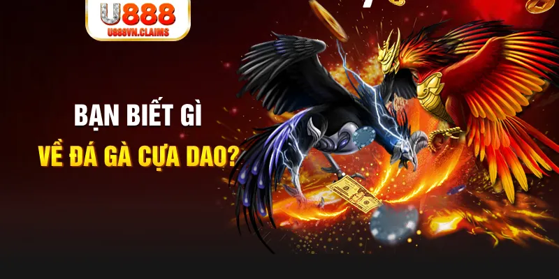 vina24h SW Xổ Số