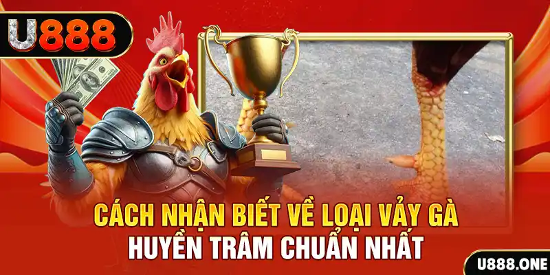 vina24h đăng nhập nổ hũ số 1