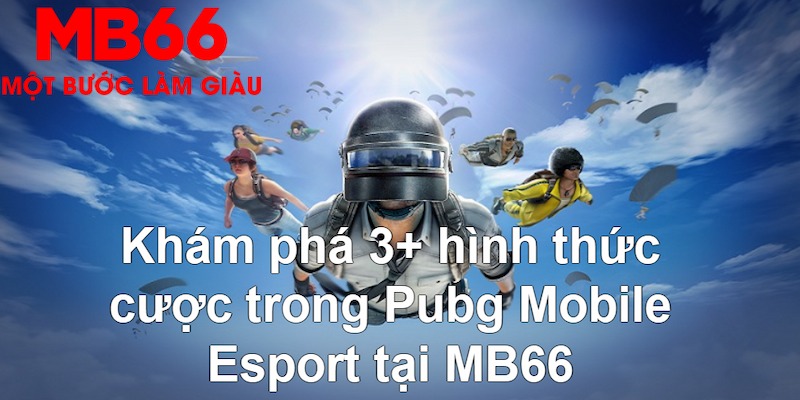 vina24h Tài Xỉu