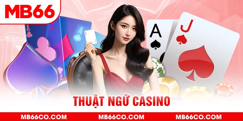 vina24h gà chọi c1 mới nhất