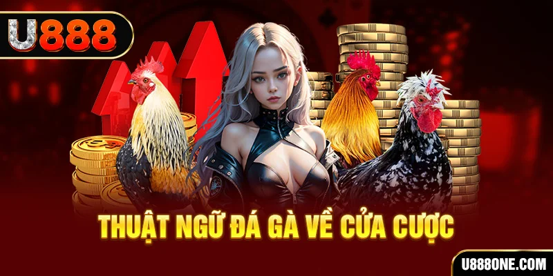 vina24h hơn cả bạn bè