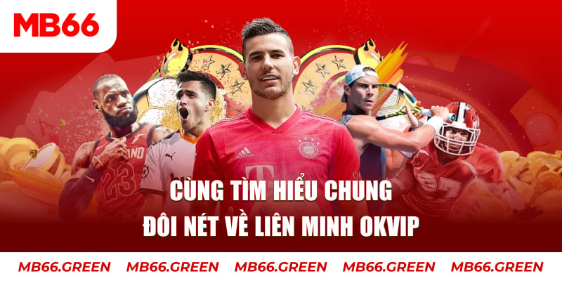vina24h đá gà trực tiếp bình luận viên
