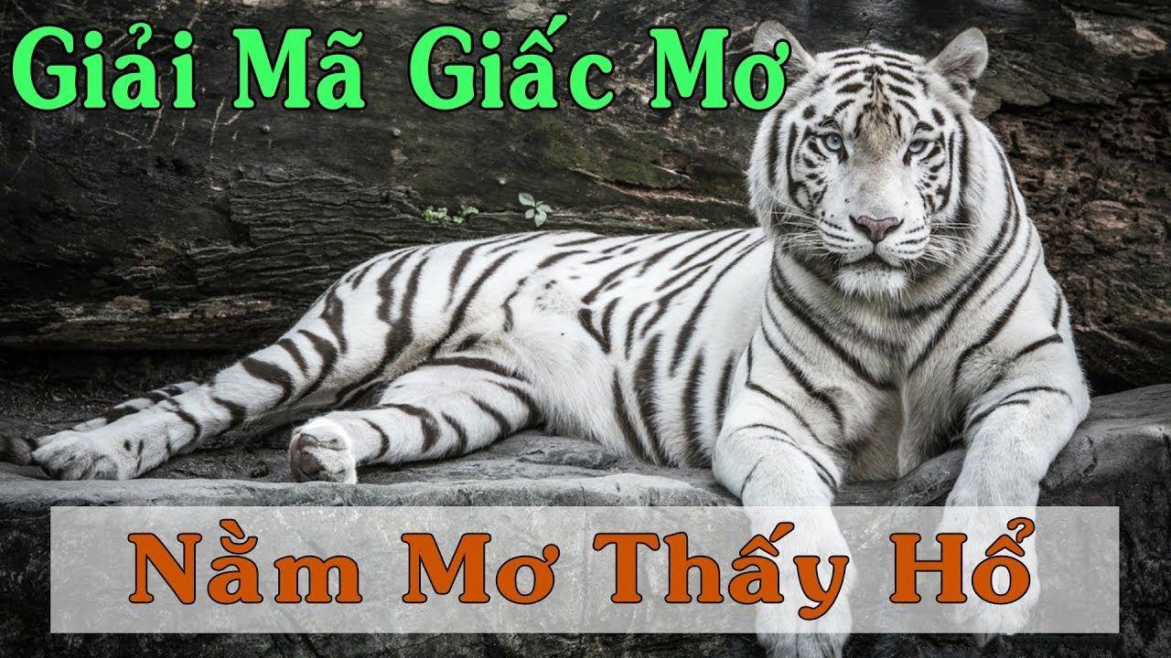 vina24h nổ hũ là game gì