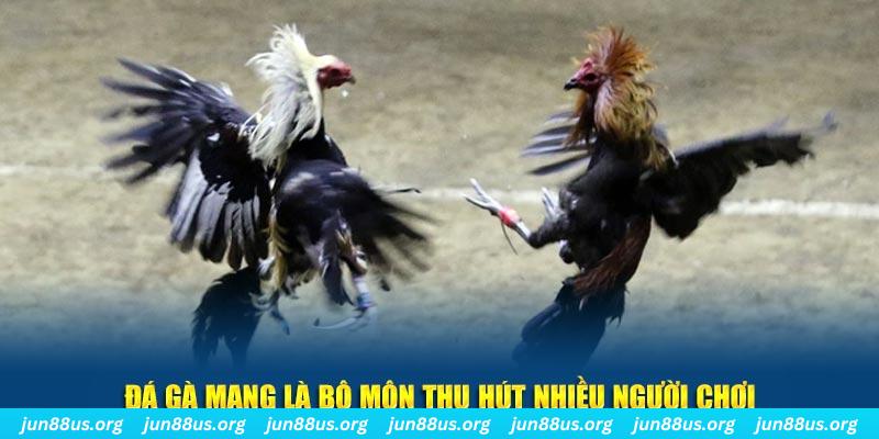 vina24h nổ hủ nghĩa là gì