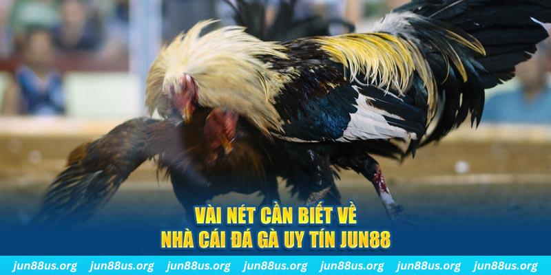 vina24h đăng nhập phỏm khuyến mãi