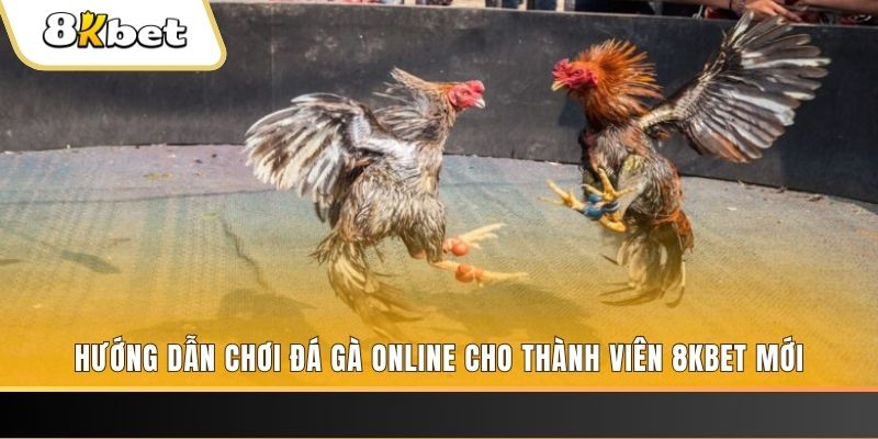 vina24h JILI Game Bài 3d