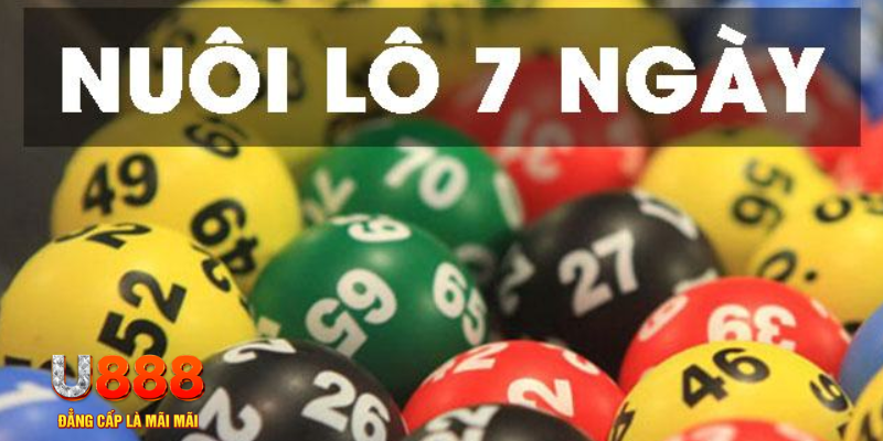 vina24h đăng nhập mậu binh tặng tiền