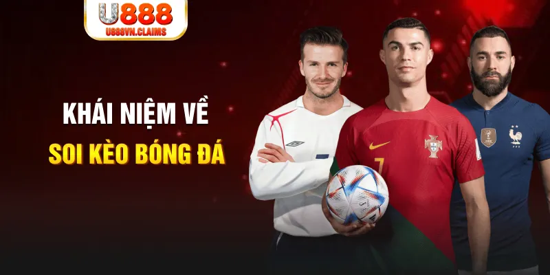 vina24h xổ số cần thơ