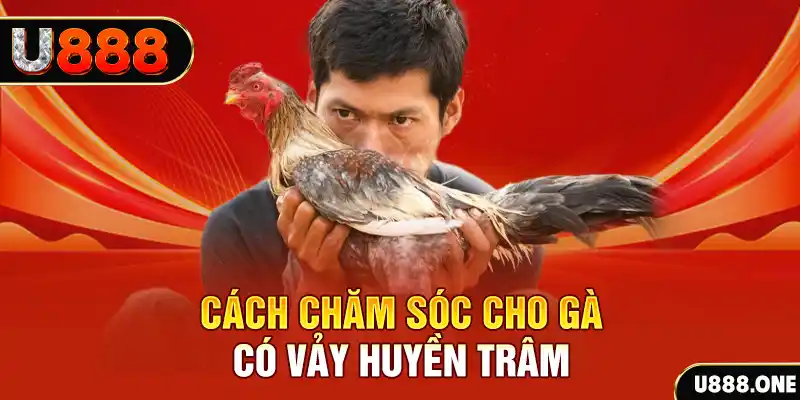 vina24h bắn cá xèng 3