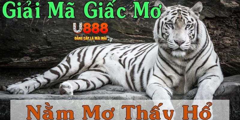vina24h xổ số miền bắc xổ số miền bắc