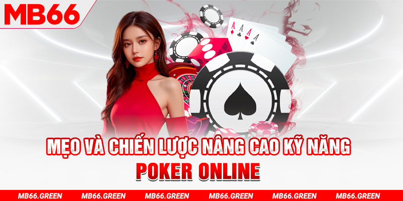 vina24h chổi lông gà