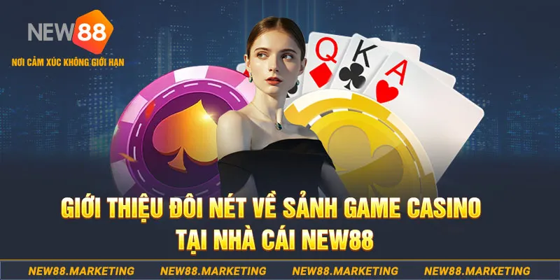 vina24h đăng nhập roulette 2025