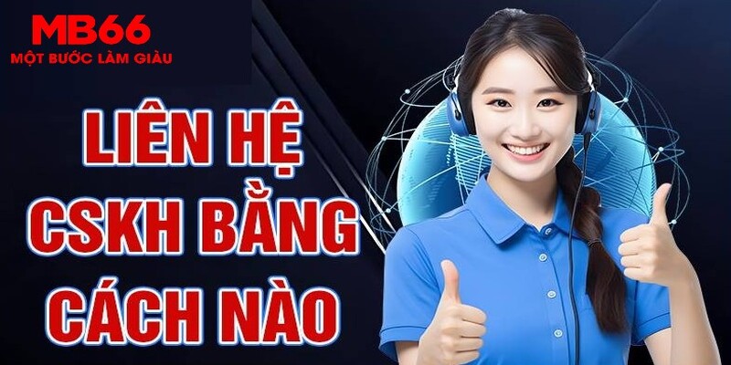 vina24h esport la gì