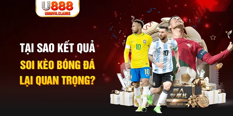 vina24h Tôm Cua Cá 2