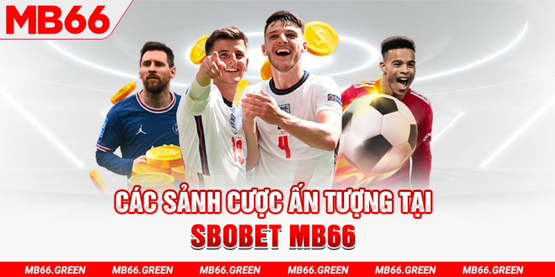 vina24h kết quả xổ số