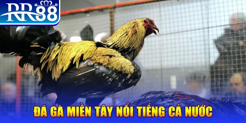vina24h xổ số đại phát