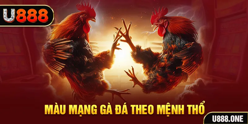 vina24h đăng nhập sòng bạc hàng đầu