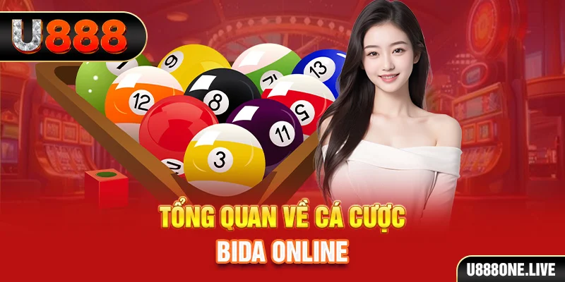 vina24h kết quả xổ số kiến thiết miền bắc