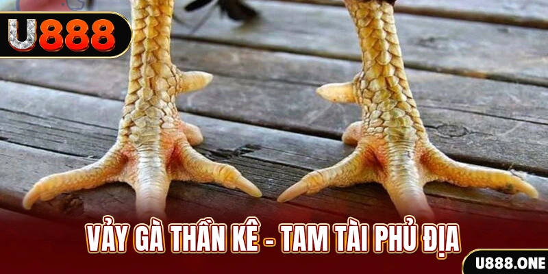 vina24h xổ số miền trung thứ hai hàng tuần