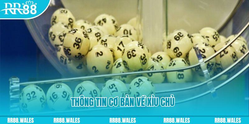 vina24h how to win at slot machines