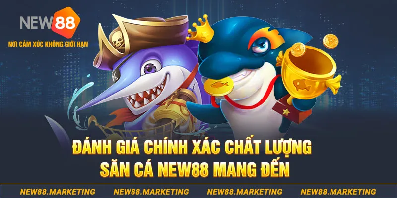 vina24h đăng nhập mậu binh mới nhất