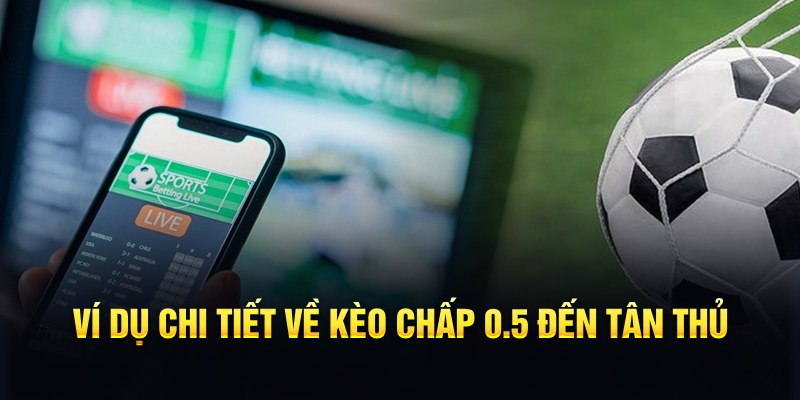 vina24h RTG Game Bài 3d