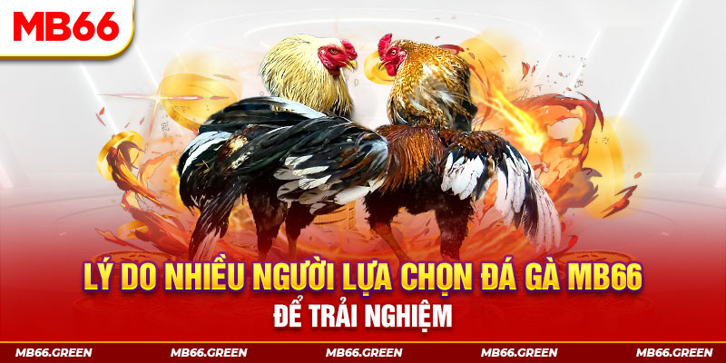 vina24h tai game danh bai tien len mien nam ve may tinh