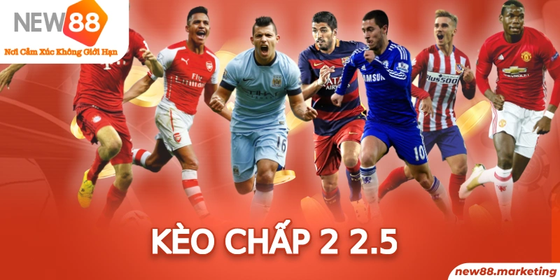 vina24h baccarat có bịp không