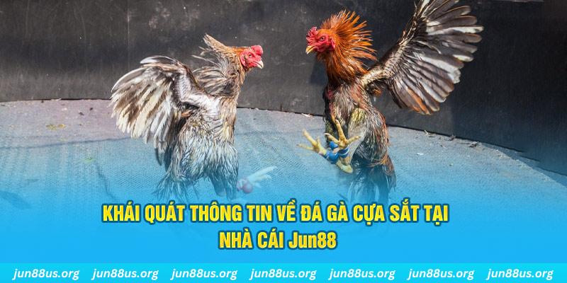 vina24h xổ số miền bắc thứ bảy hàng tuần