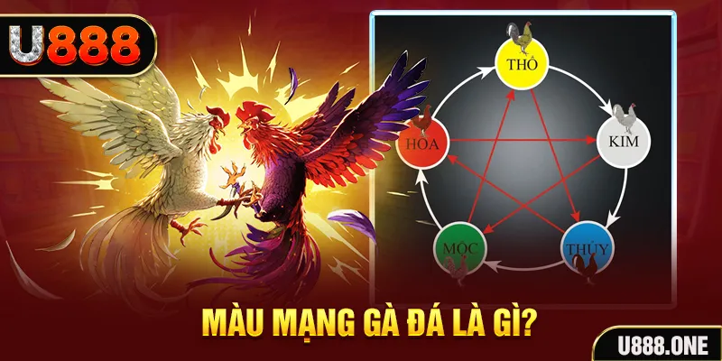 vina24h xổ số miền trung thứ tư hàng tuần