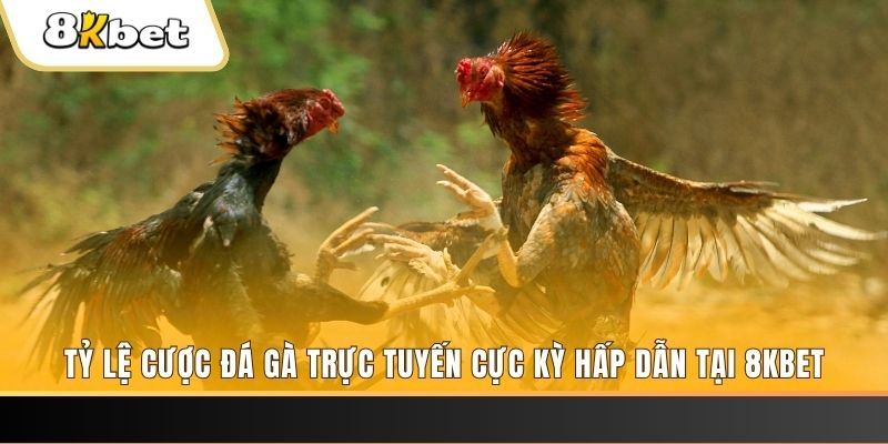 vina24h đăng nhập nổ hũ trực tuyến