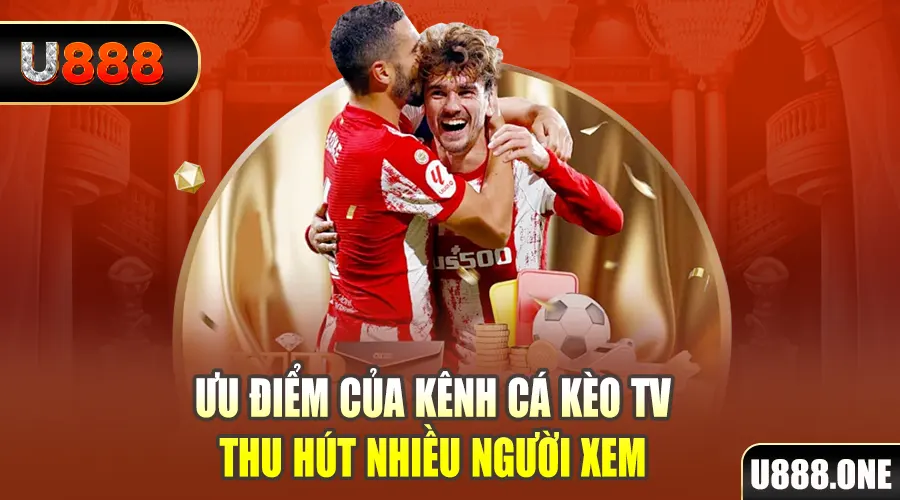 vina24h gà chọi cu cần