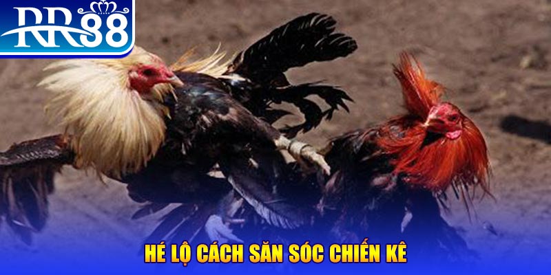 vina24h xổ số miền trung thứ tư