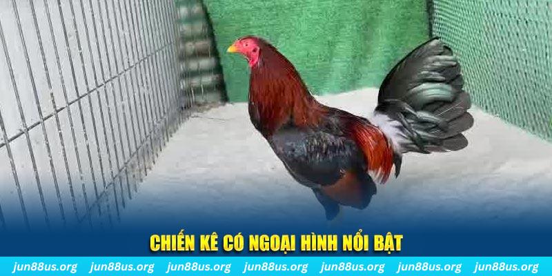 vina24h game bắn cá