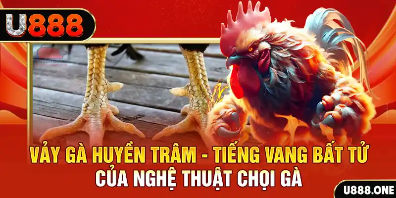 vina24h Cuộc gọi đã bị ngắt