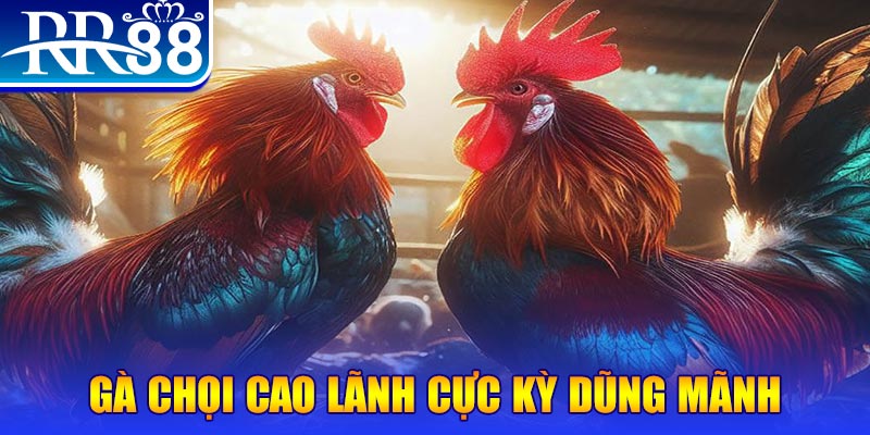 vina24h HB Điện Tử