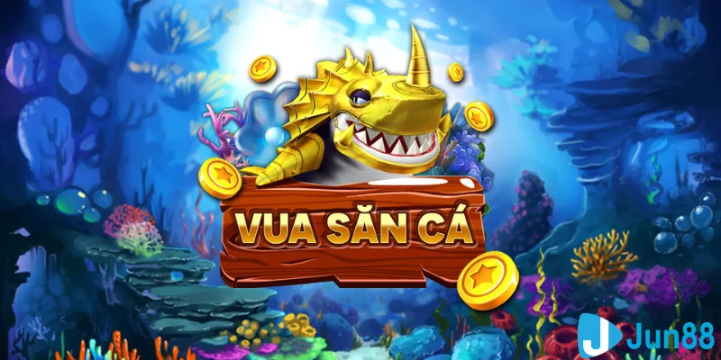 vina24h casino hồ tràm có cho người việt vào không