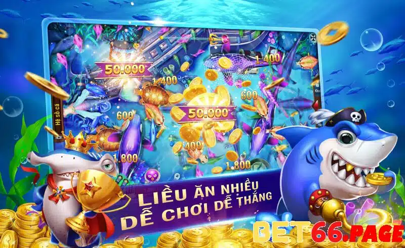 vina24h 1 slot là gì