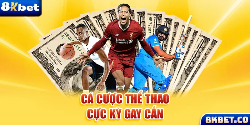 vina24h xem đá gà trực tiếp